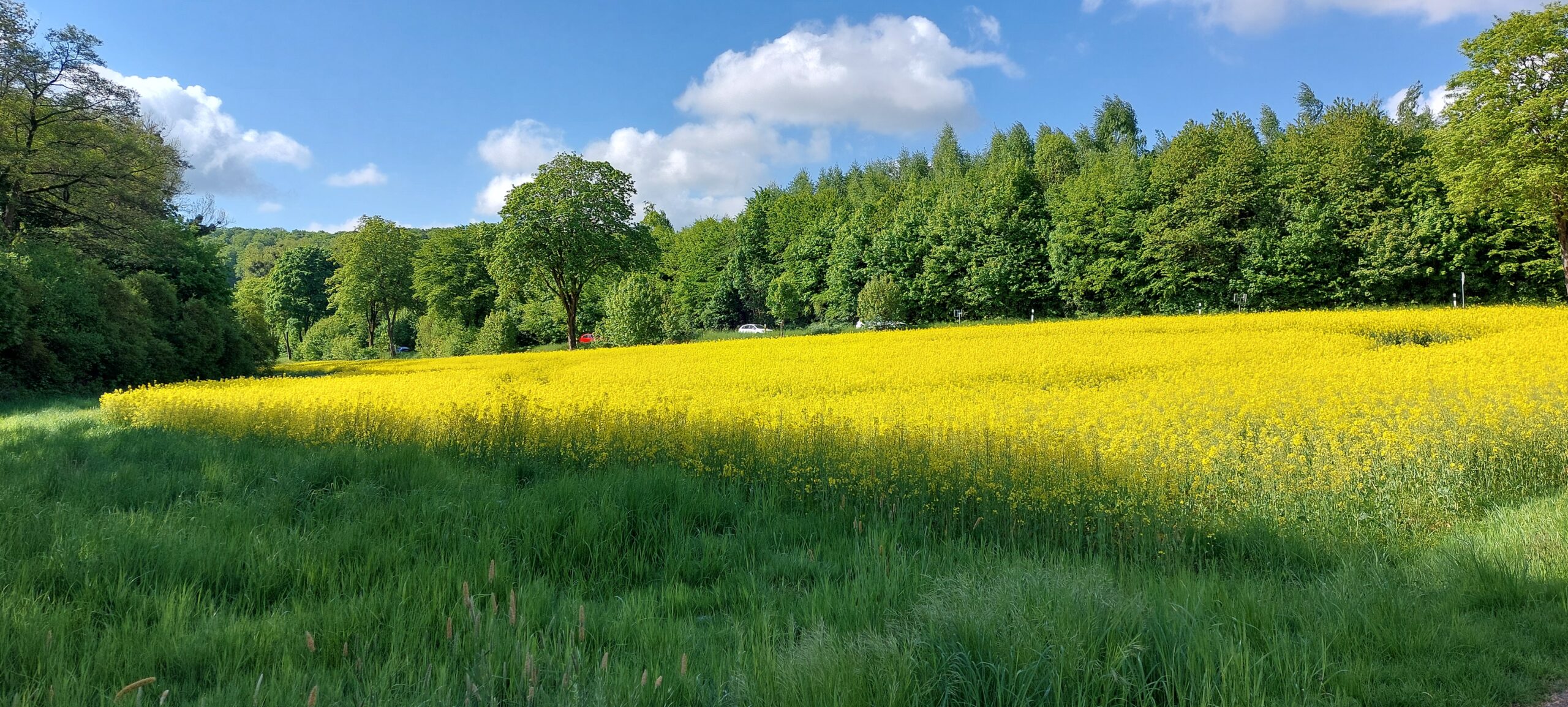 Von Wilberg nach Detmold.