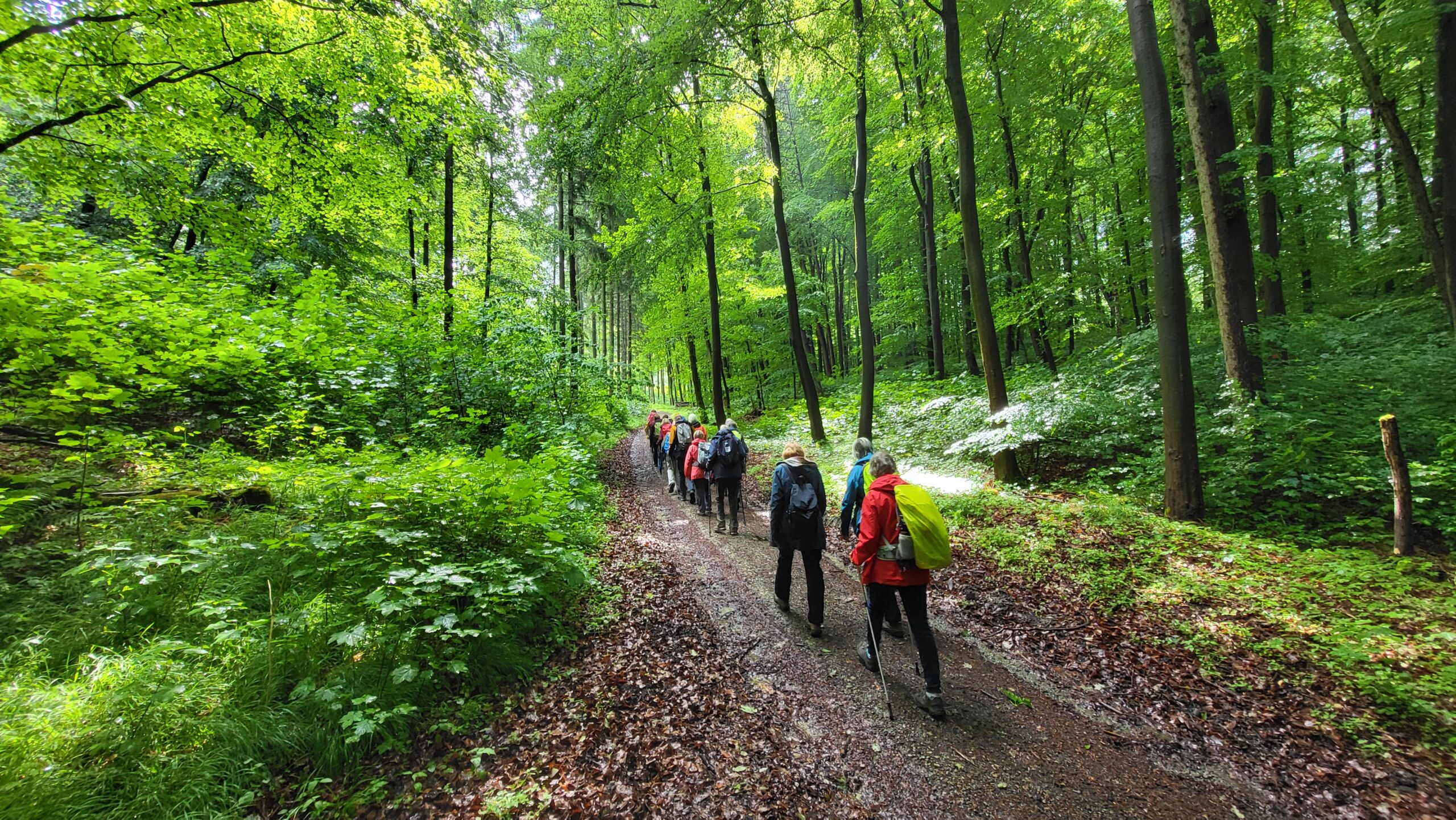 Spargelessen in Vinsebeck