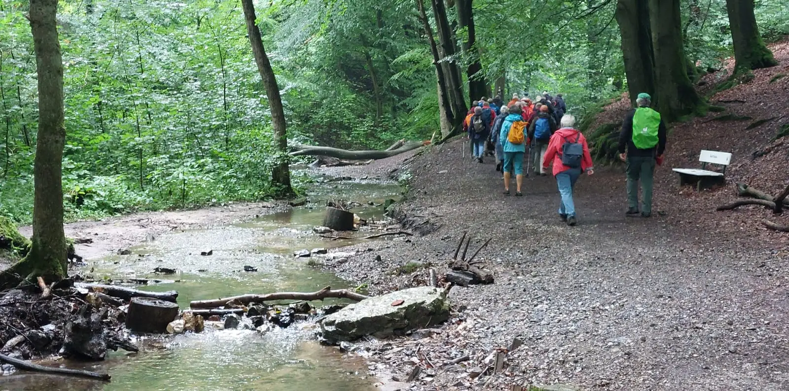 Oerlinghauser Rundweg – Schopketal