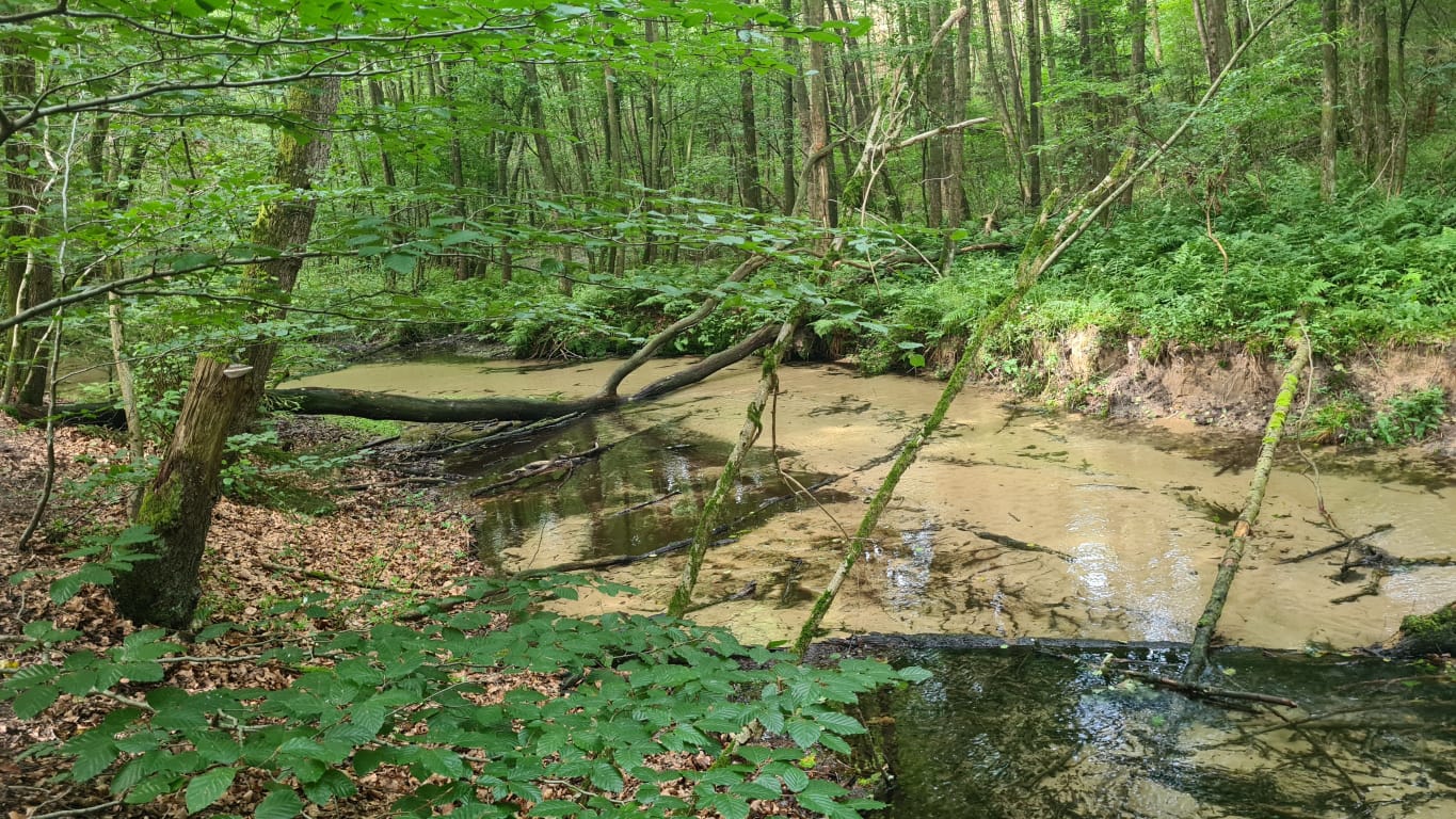 Augustdorf – Furlbachtal – Stukenbrock
