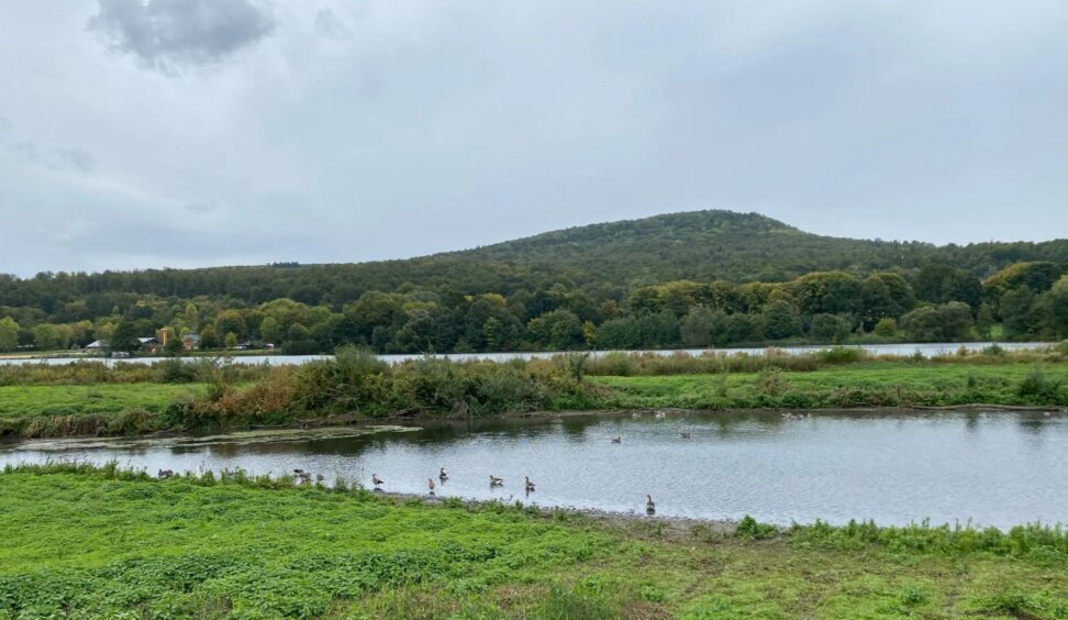 Durch den Stadtwald zum Schieder See