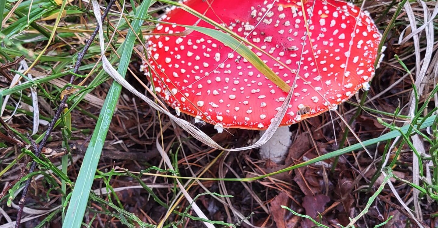 An den Emsquellen um Hövelhof An den Emsquellen um Hövelhof