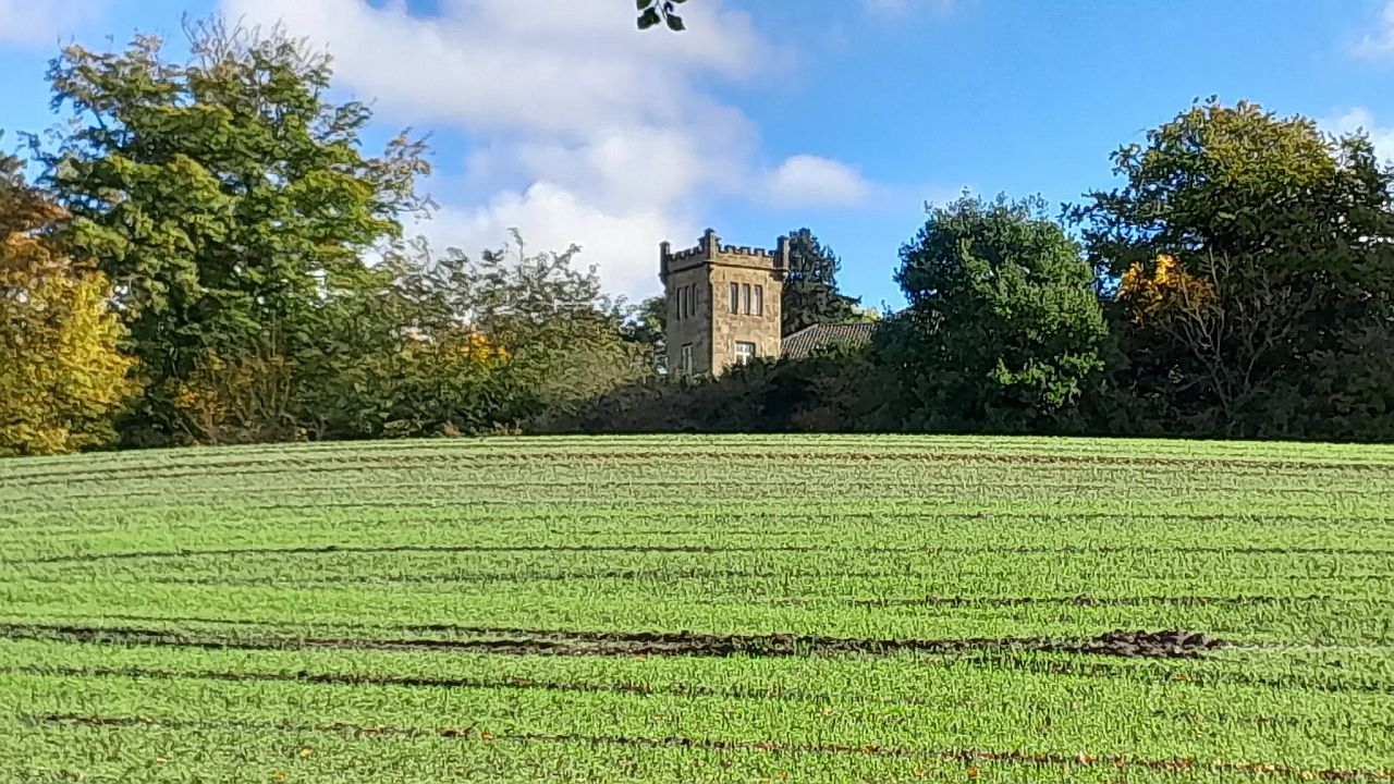Im Kurpark und Stadtwald von Bad Salzuflen Im Kurpark und Stadtwald von Bad Salzuflen