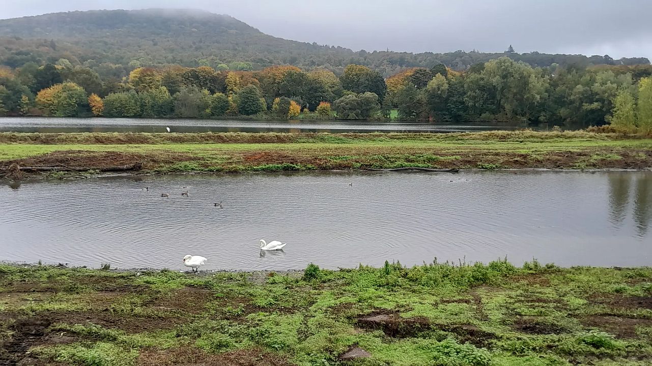 X6 und mehr X6 und mehr